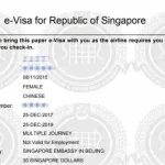 Exploring Singapore Visa Guide for Travelers and Tech Enthusiasts